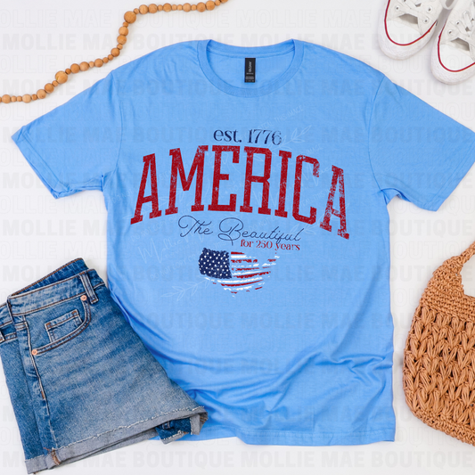America The Beautiful 250 Years Graphic Tee