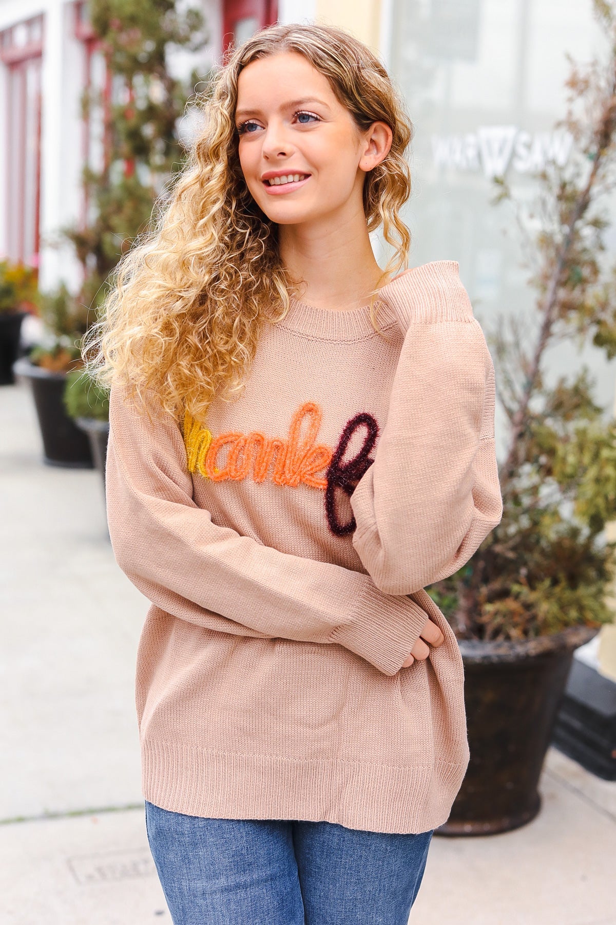 Haptics Taupe Pop Up Glittery Embroidery Sweater