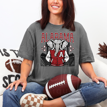 Alabama Stadium Graphic Tee or Sweatshirt