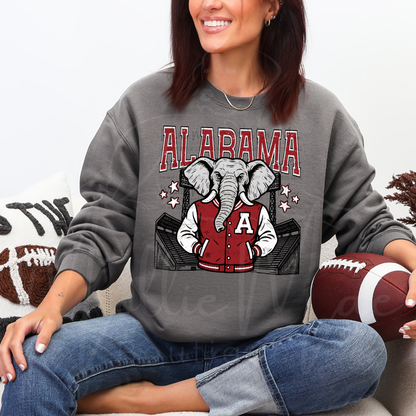 Alabama Stadium Graphic Tee or Sweatshirt