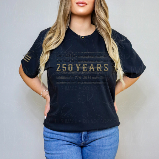 250 Years Distressed Flag Graphic Tee