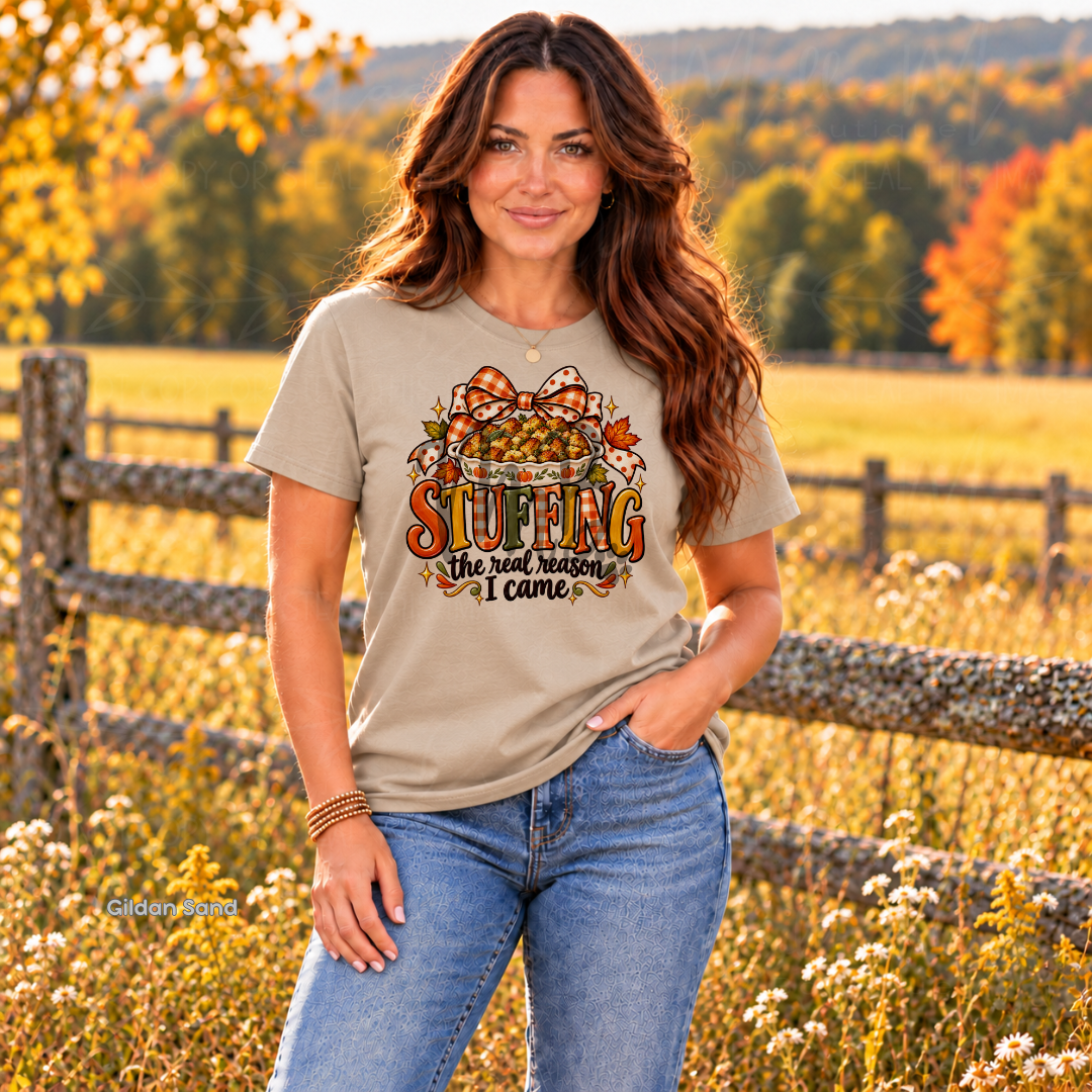 Stuffing The Real Reason I Came Thanksgiving Graphic Tee