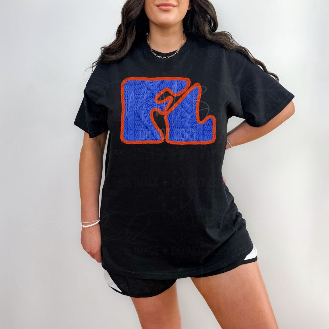 SEC College Faux Knit Graphic Sweatshirt or Tee