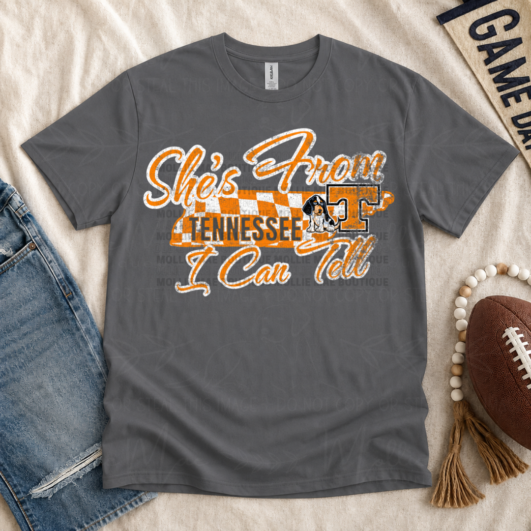 She's From Tennessee, I Can Tell Graphic Tee