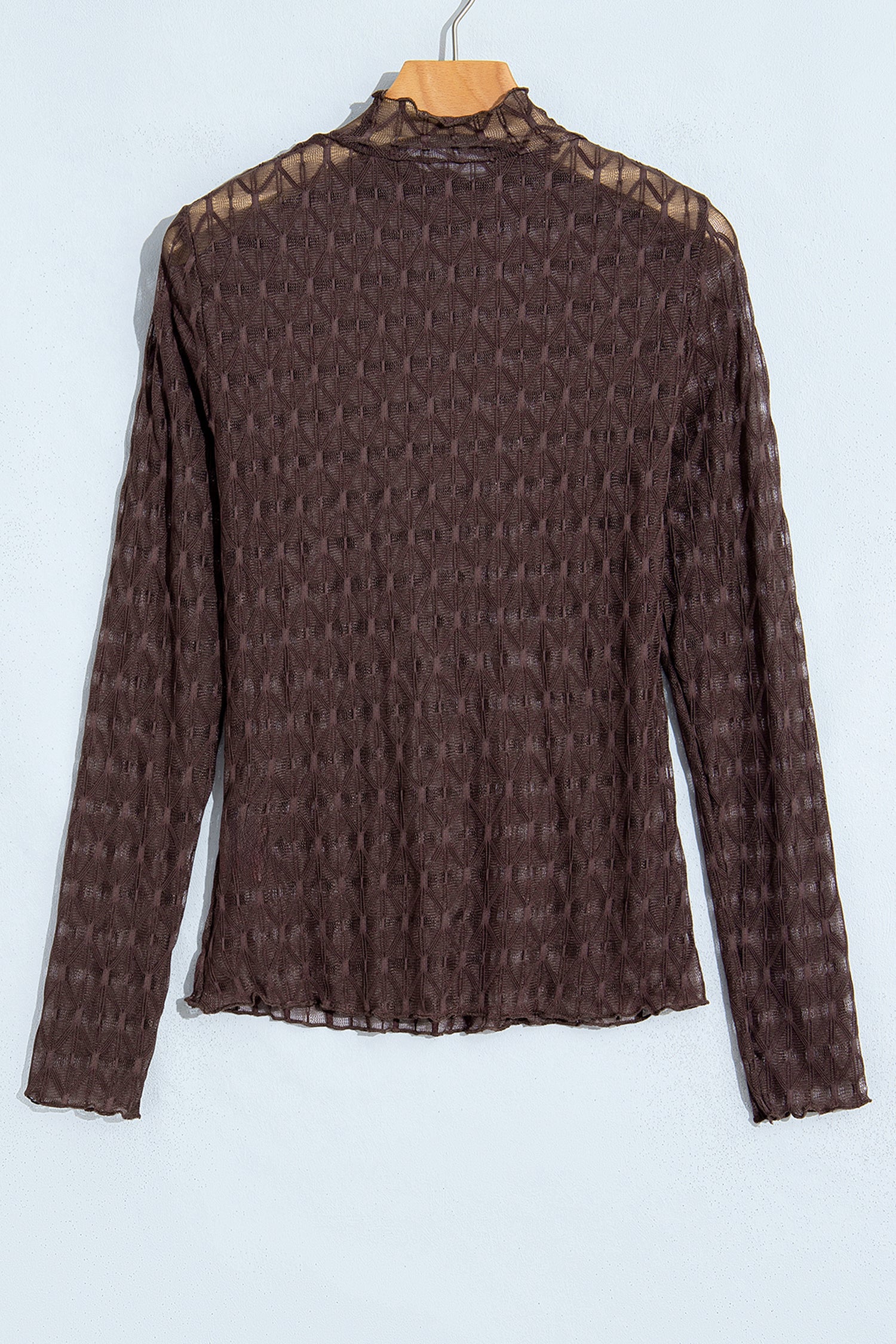 Chicory Coffee Solid Sheer Textured Lace Mock Neck Long Sleeve Top with sheer lace and mock neck women's boutique fashion