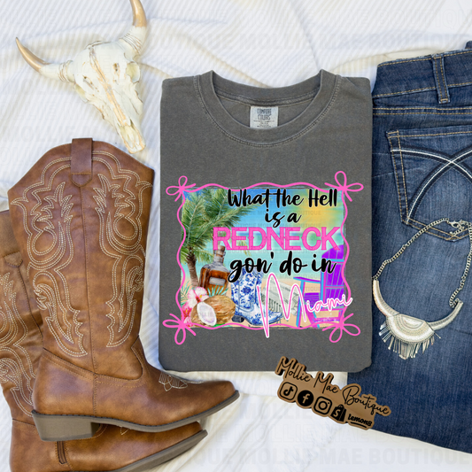 What's a Redneck Gon' Do Tshirt