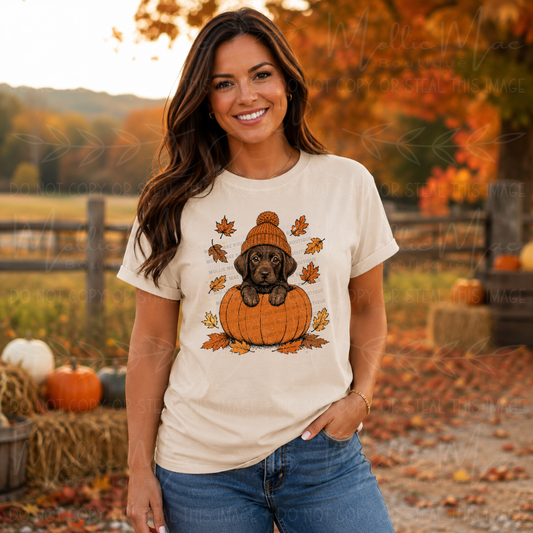 Pumpkin Lab Comfort Colors Fall Graphic Tee