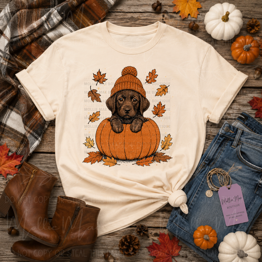 Pumpkin Lab Comfort Colors Fall Graphic Tee