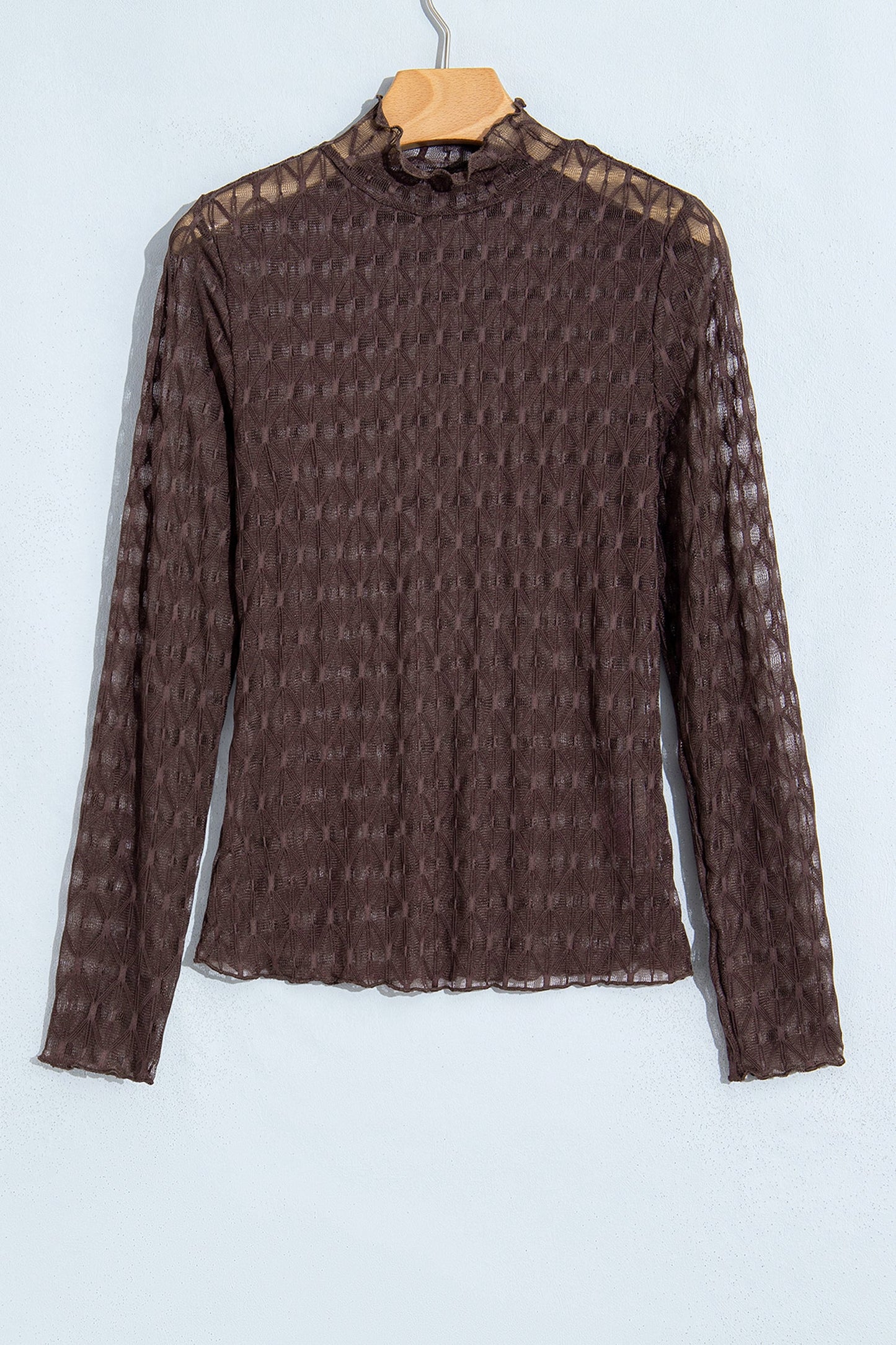 Chicory Coffee Solid Sheer Textured Lace Mock Neck Long Sleeve Top with sheer lace and mock neck women's boutique fashion