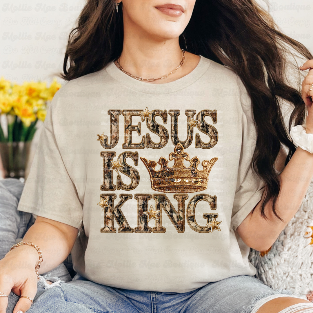 Jesus Is King Graphic Tee or Sweatshirt