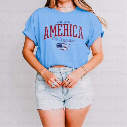America The Beautiful 250 Years Graphic Tee