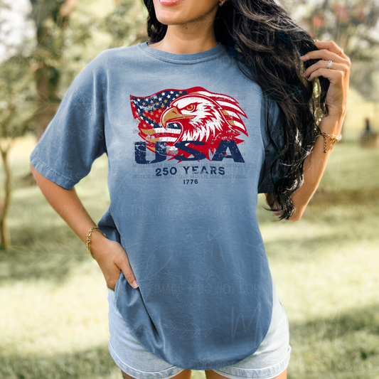 USA Eagle 250 Years Graphic Tee