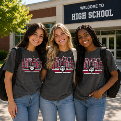 Hickman County Bulldogs Vintage Spirit Tee