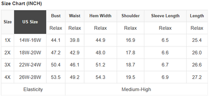 Plus Size Sheer Mesh Panel Short Sleeve Top